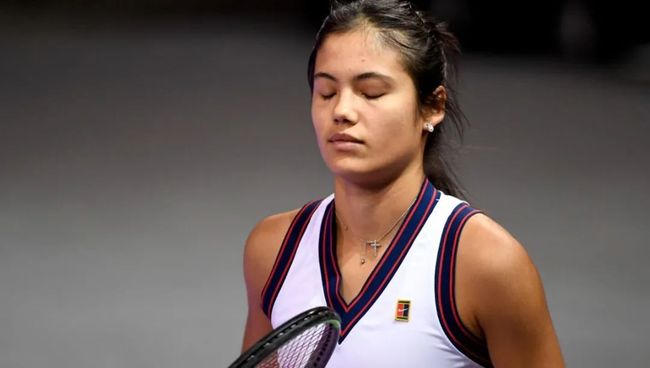 加拿大的多 加拿大的多