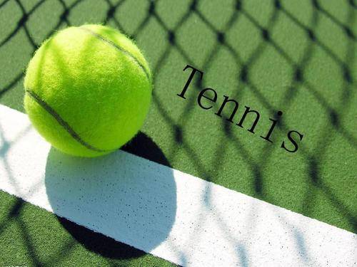 帕雷德斯以 帕雷德斯以