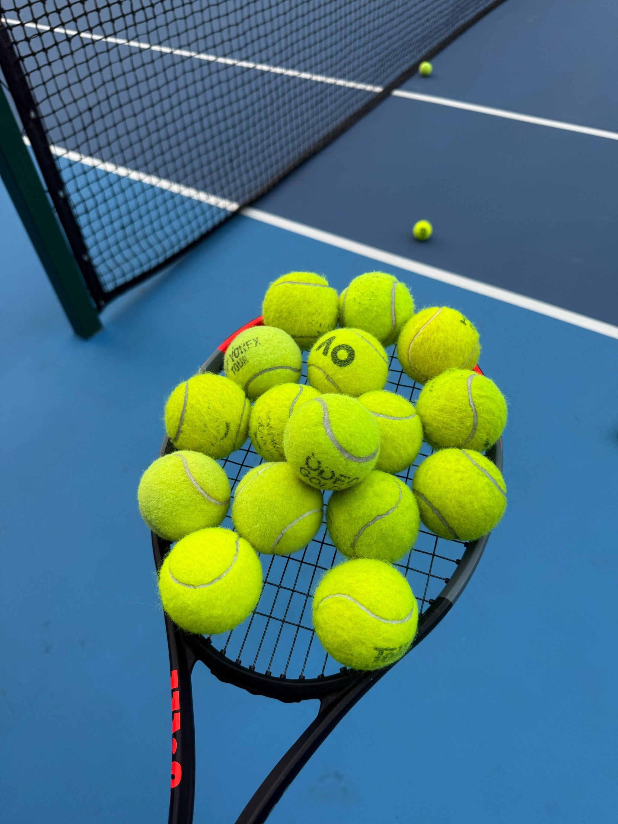 强烈反响 强烈反响