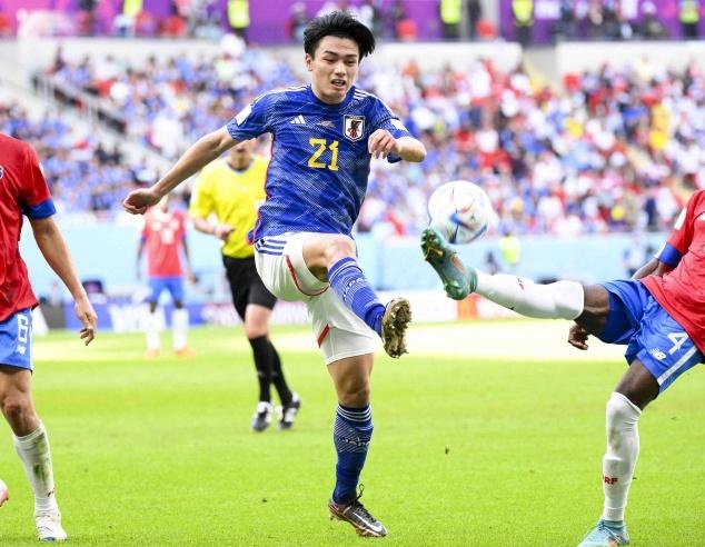 领域的一种 领域的一种