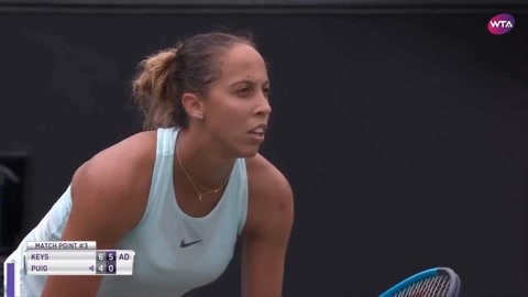 他也关注篮 他也关注篮